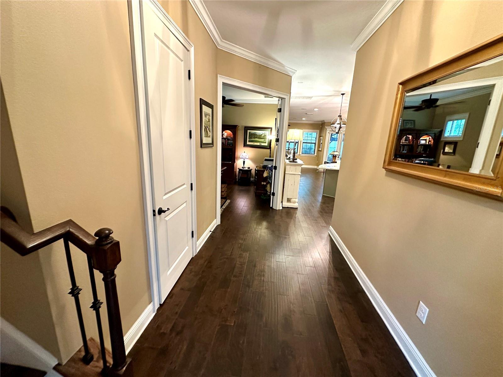 4302 W SAN PEDRO ST, TAMPA, FL — photo 9