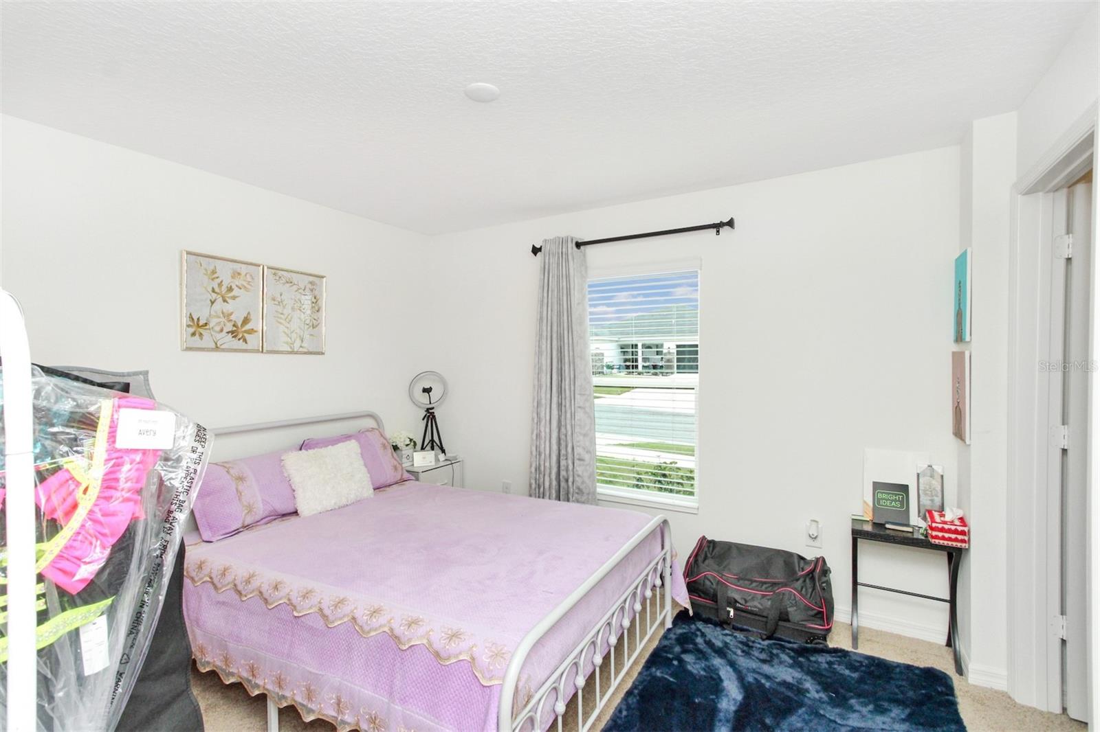 2220 GLADIOLUS LN, MASCOTTE, FL — photo 40