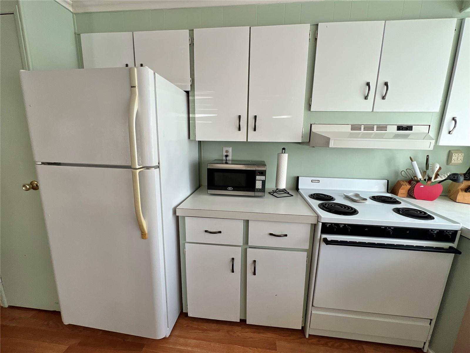 7167 MOUNT HAWTHORNE RD NE #591, ST PETERSBURG, FL — photo 10