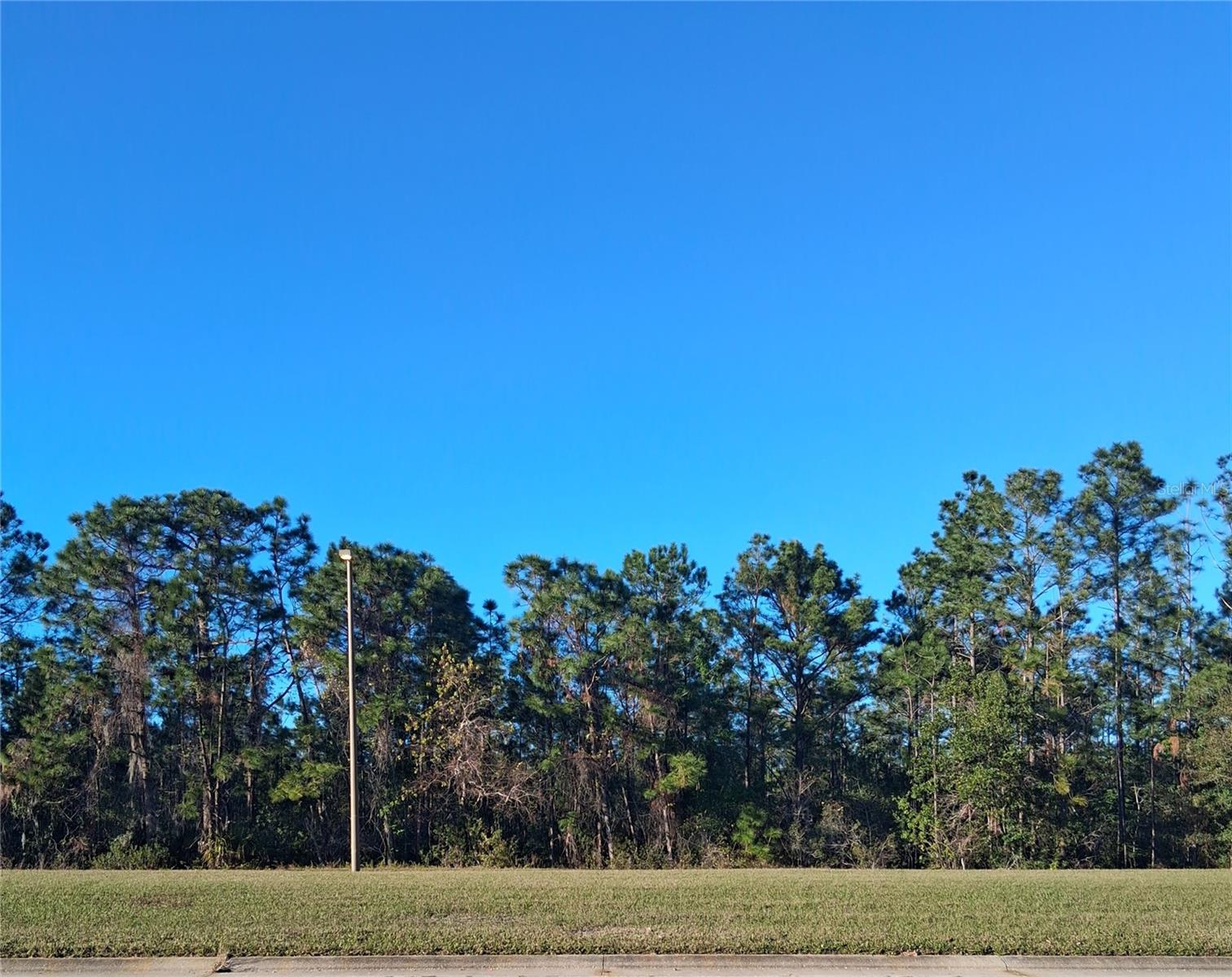 INTERNATIONAL DR S, ORLANDO, FL — photo 3
