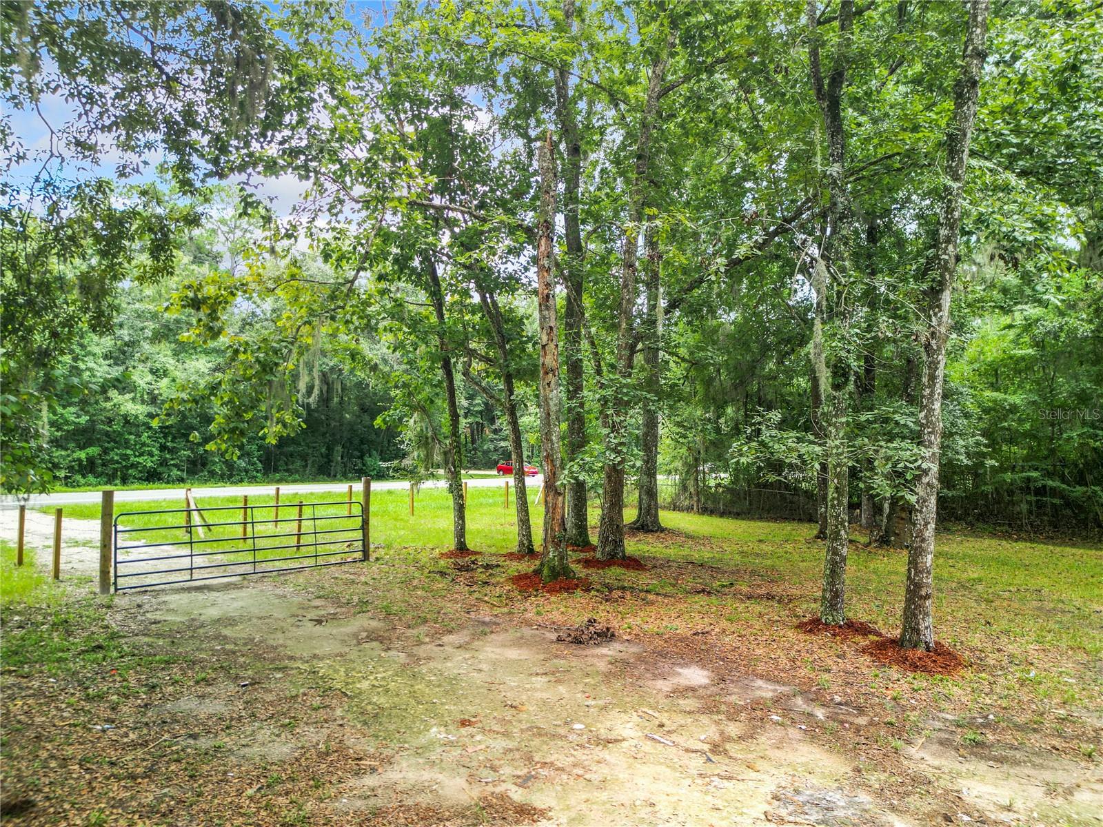 13026 SW WILLISTON RD, MICANOPY, FL — photo 7