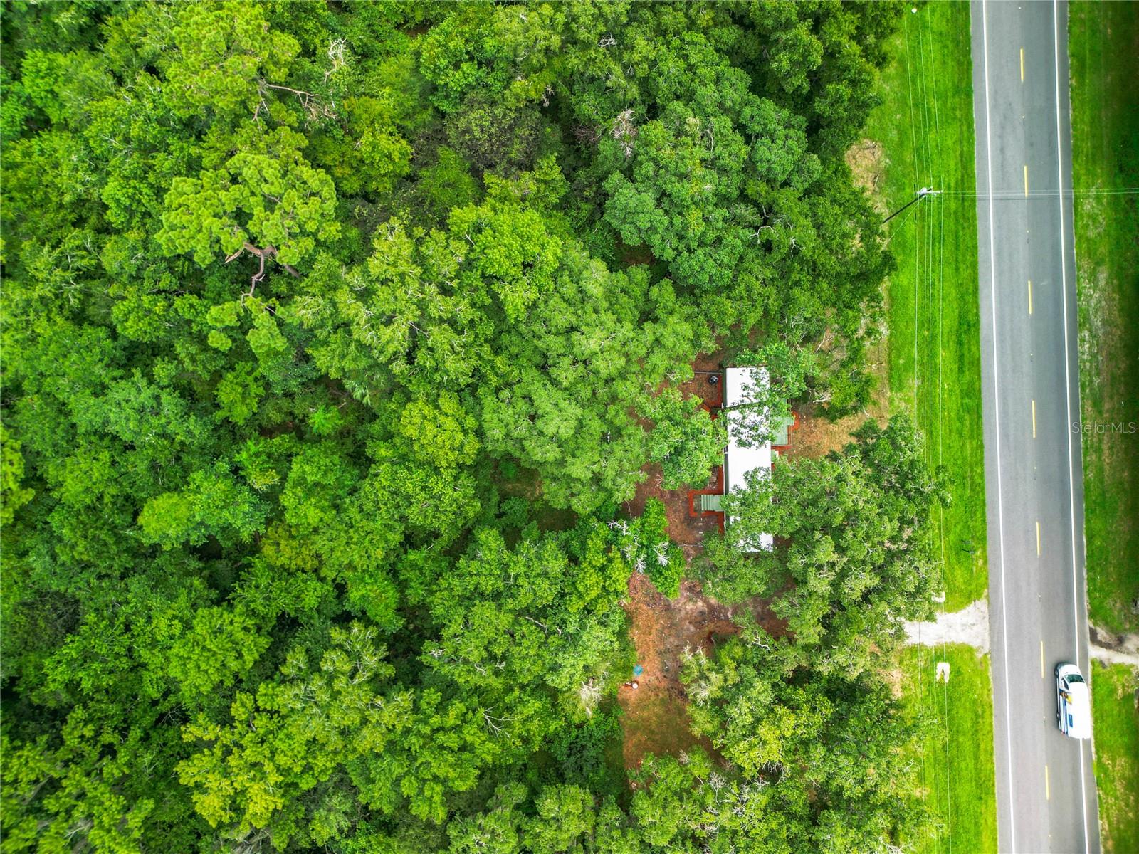 13026 SW WILLISTON RD, MICANOPY, FL — photo 24