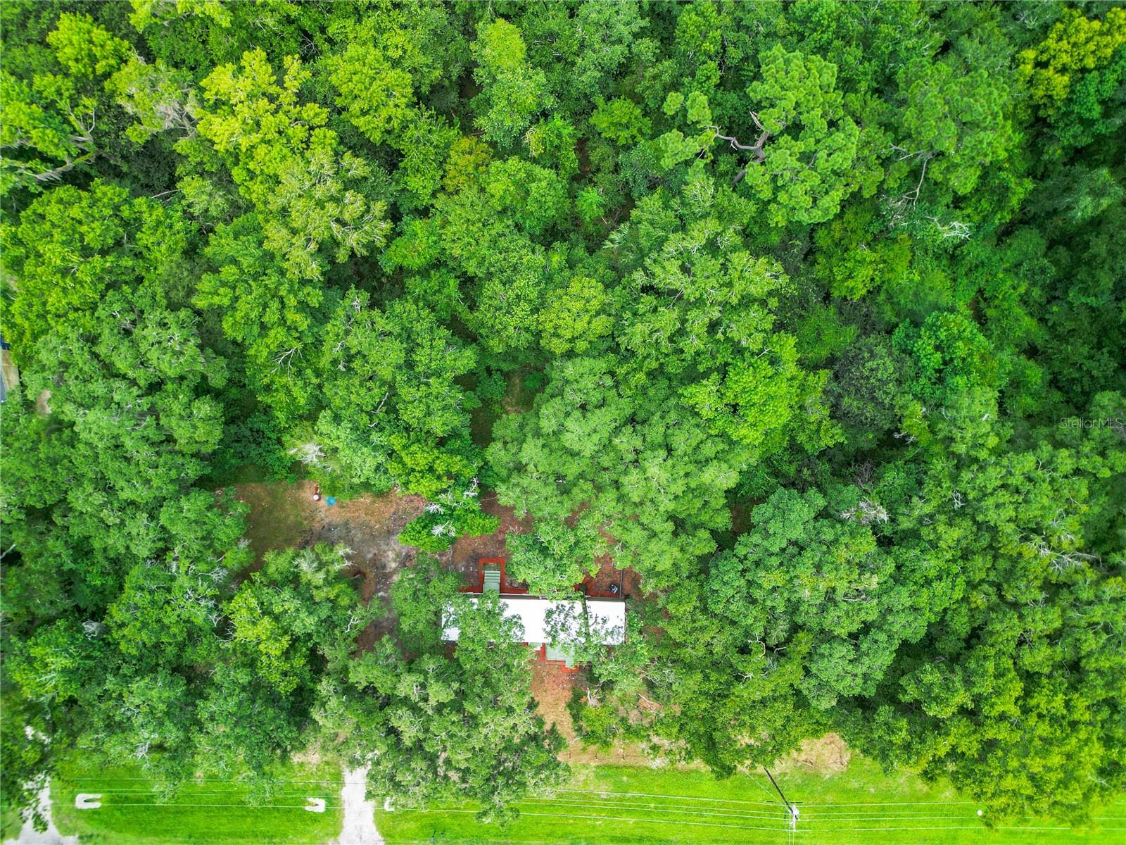 13026 SW WILLISTON RD, MICANOPY, FL — photo 25