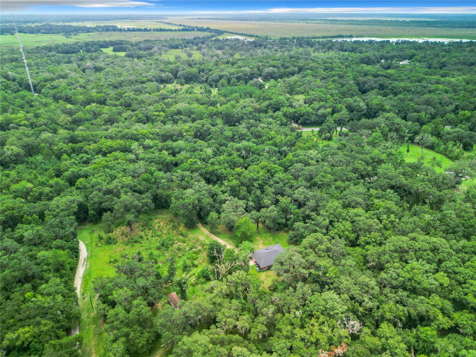 13026 SW WILLISTON RD, MICANOPY, FL — photo 27