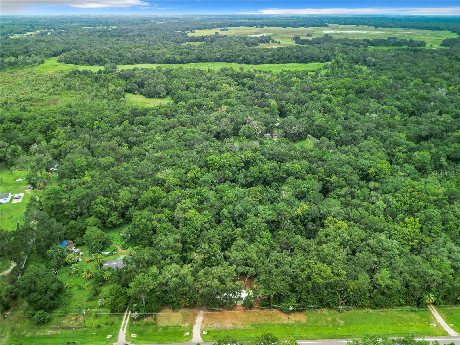13026 SW WILLISTON RD, MICANOPY, FL — photo 29