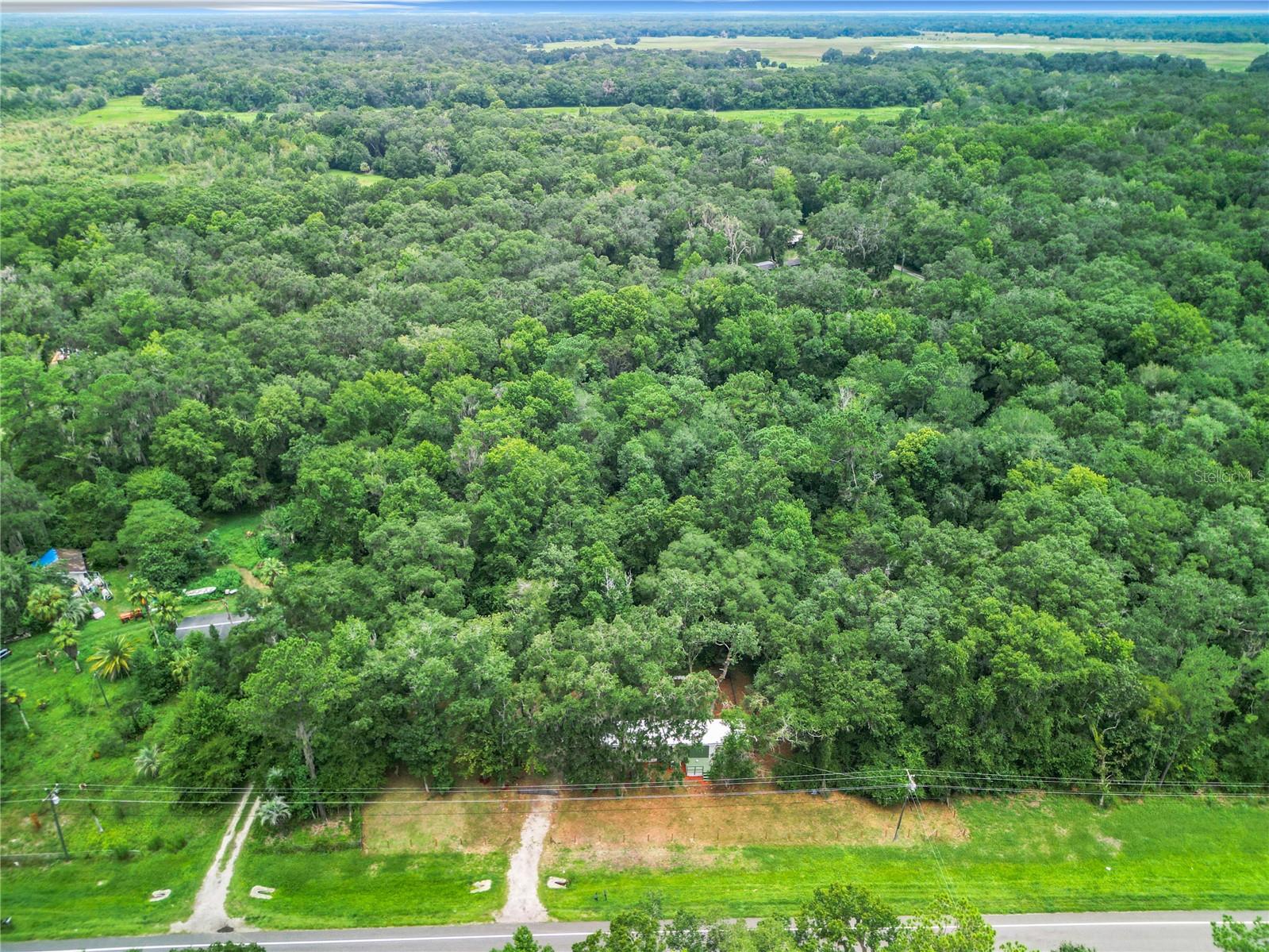 13026 SW WILLISTON RD, MICANOPY, FL — photo 30