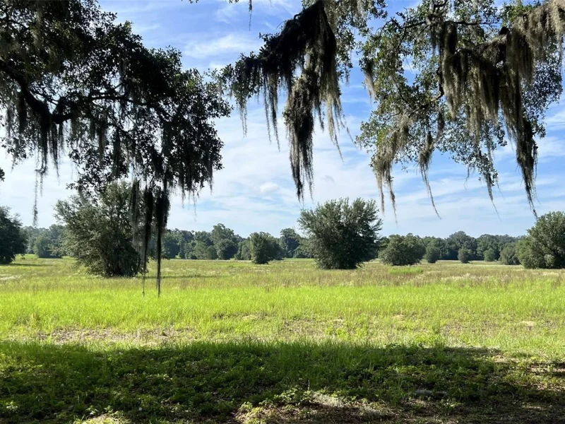 0 SE 116TH PLACE RD, OCALA, FL