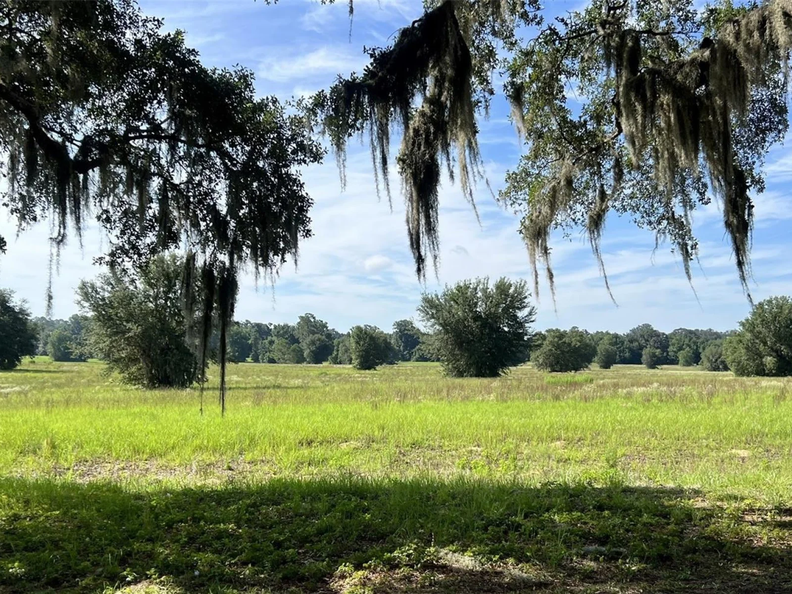 0 SE 116TH PLACE RD, OCALA, FL — photo 1