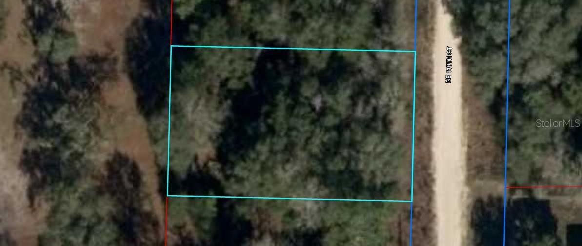 NE 110TH CT, WILLISTON, FL — photo 3
