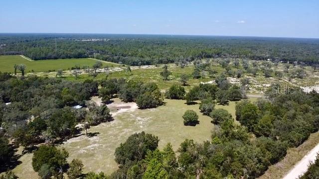 NE 110TH CT, WILLISTON, FL — photo 10