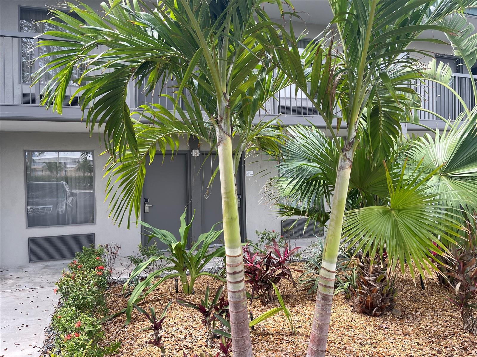 7150 N TAMIAMI TRL #S512, SARASOTA, FL — photo 8