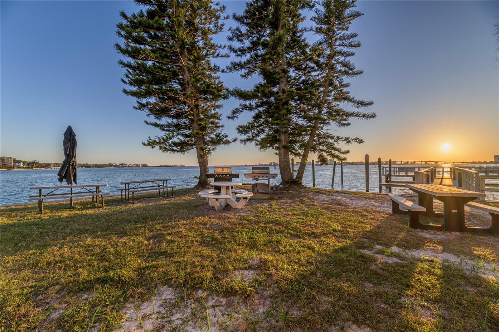 100 PIERCE ST #1102, CLEARWATER, FL — photo 21