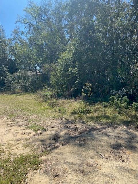 S MARY ST, EUSTIS, FL — photo 11