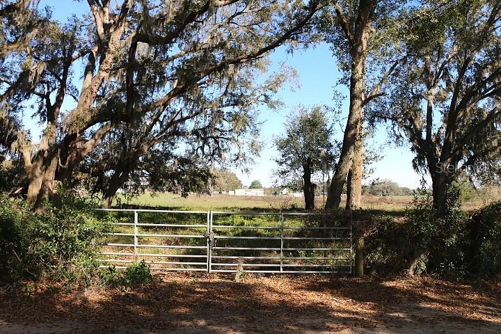 CR 48, BUSHNELL, FL — photo 6