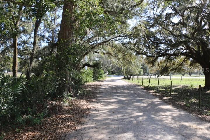 CR 48, BUSHNELL, FL — photo 7