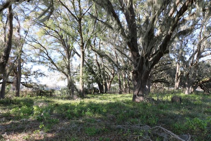 CR 48, BUSHNELL, FL