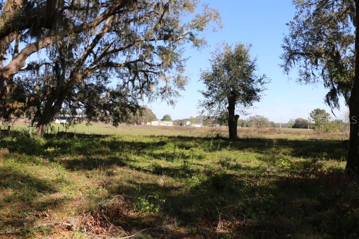 CR 48, BUSHNELL, FL — photo 15