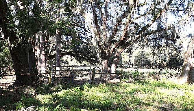 CR 48, BUSHNELL, FL — photo 17