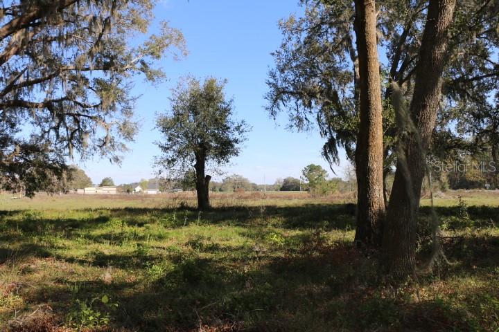 CR 48, BUSHNELL, FL — photo 18