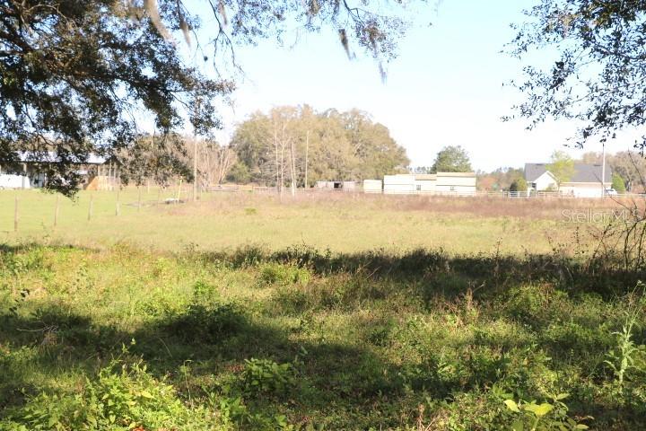 CR 48, BUSHNELL, FL — photo 8