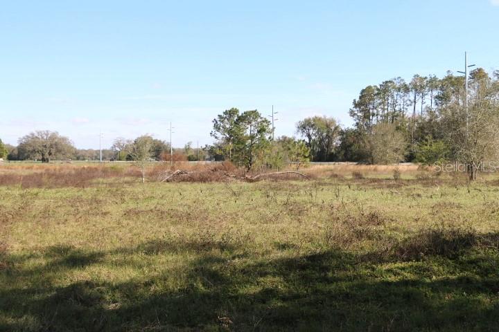 CR 48, BUSHNELL, FL — photo 5