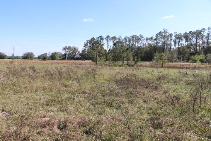 CR 48, BUSHNELL, FL — photo 9
