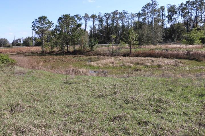 CR 48, BUSHNELL, FL — photo 11