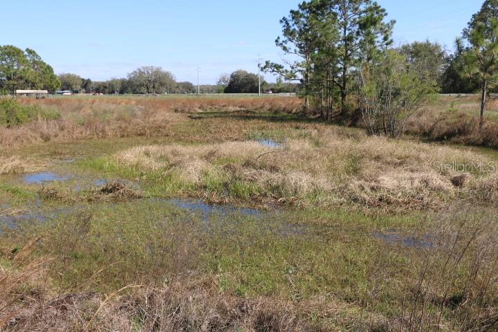 CR 48, BUSHNELL, FL — photo 13