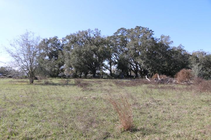CR 48, BUSHNELL, FL — photo 20