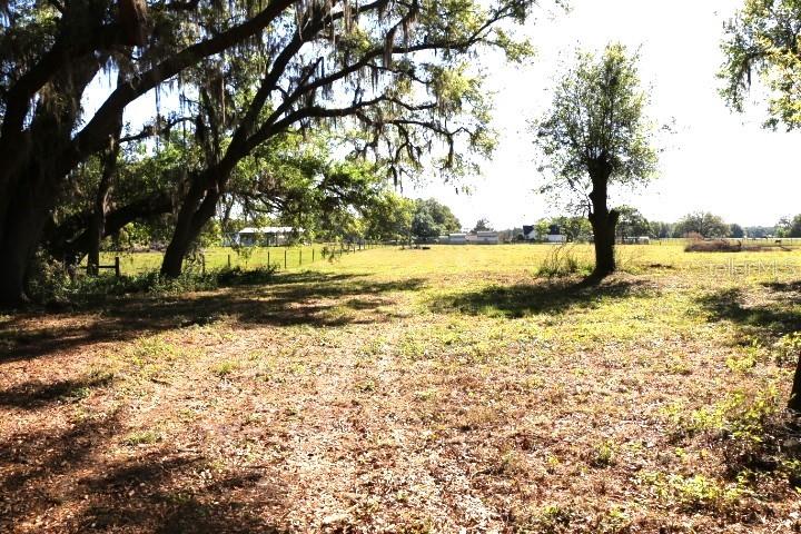 CR 48, BUSHNELL, FL — photo 23