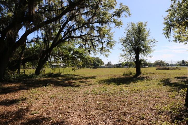 CR 48, BUSHNELL, FL — photo 25