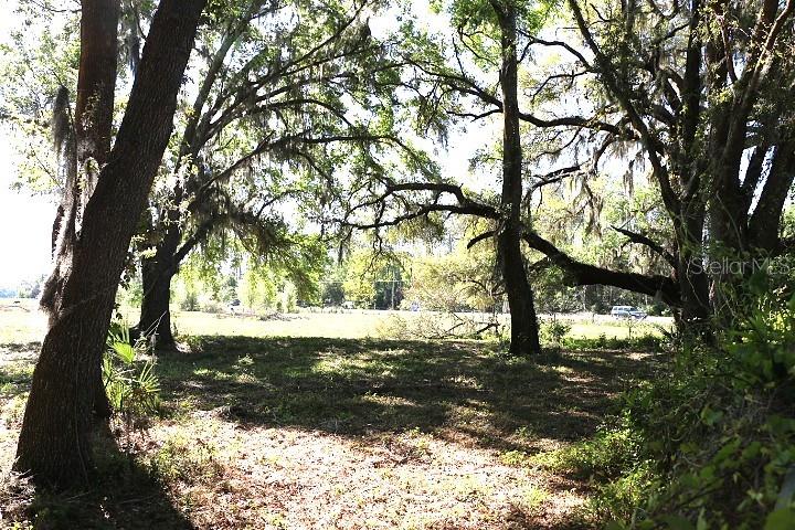 CR 48, BUSHNELL, FL — photo 26