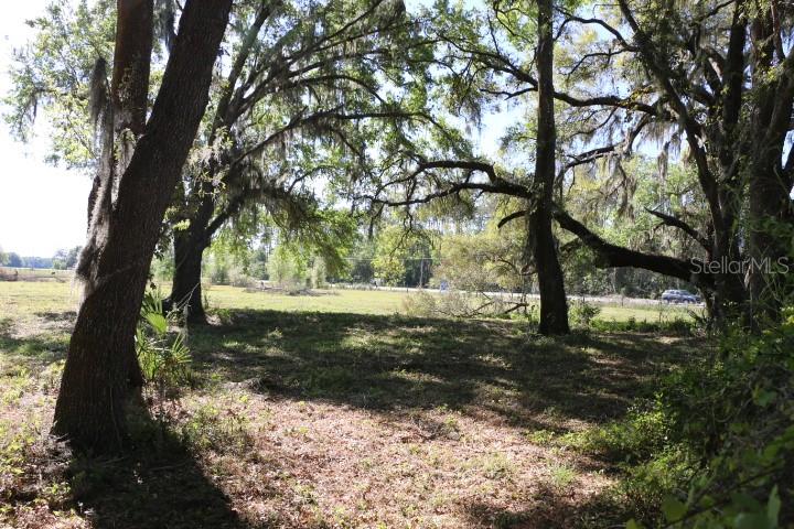 CR 48, BUSHNELL, FL — photo 27