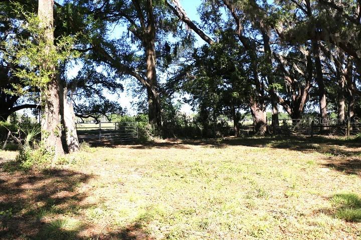 CR 48, BUSHNELL, FL — photo 29