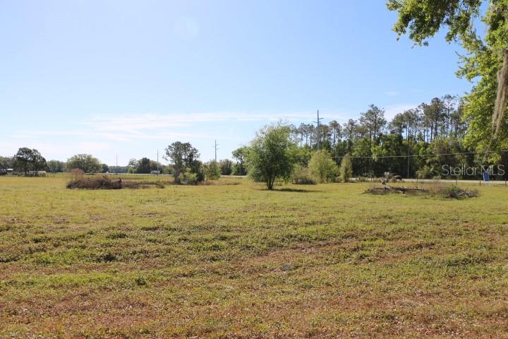 CR 48, BUSHNELL, FL — photo 31