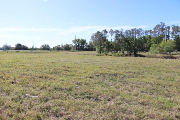 CR 48, BUSHNELL, FL — photo 35