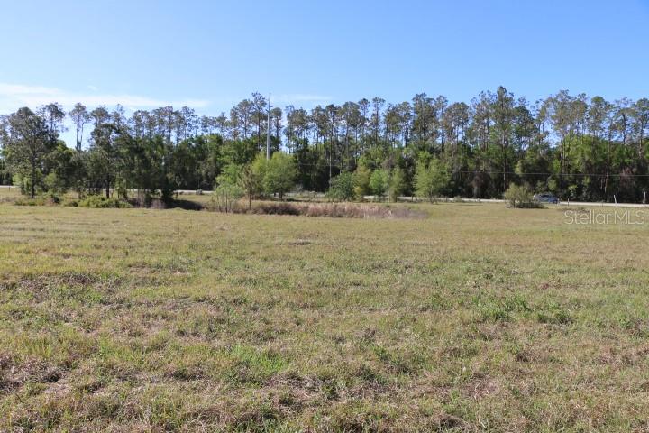 CR 48, BUSHNELL, FL — photo 36