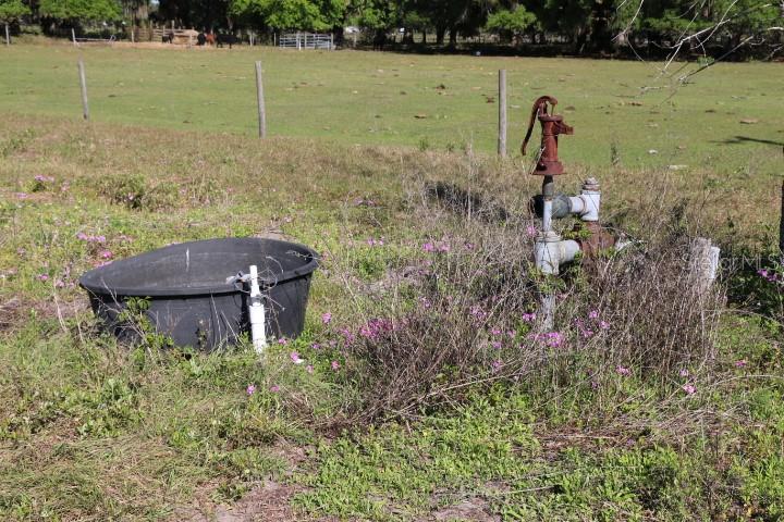 CR 48, BUSHNELL, FL — photo 3
