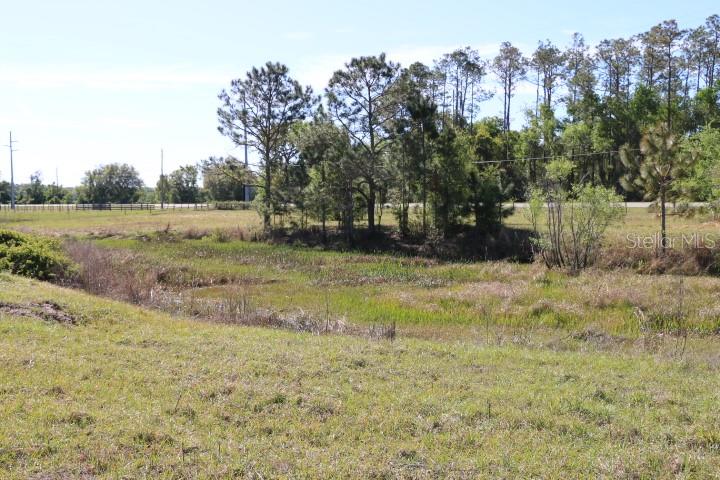 CR 48, BUSHNELL, FL — photo 38