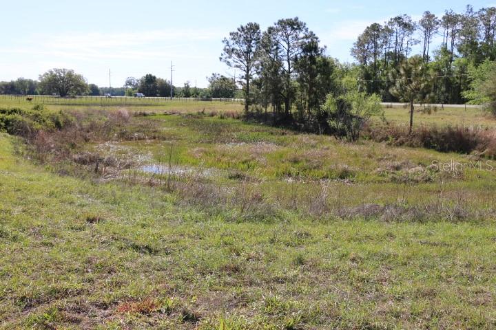 CR 48, BUSHNELL, FL — photo 40