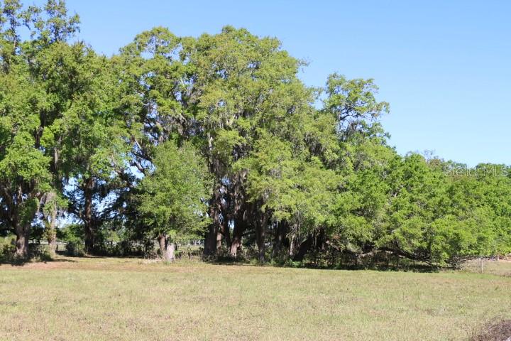 CR 48, BUSHNELL, FL — photo 2