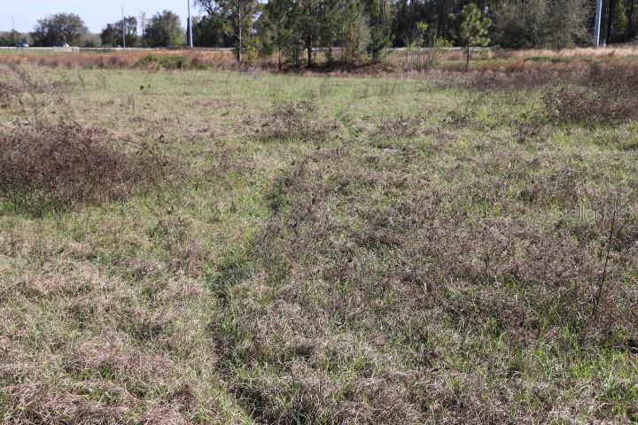 CR 48, BUSHNELL, FL — photo 10