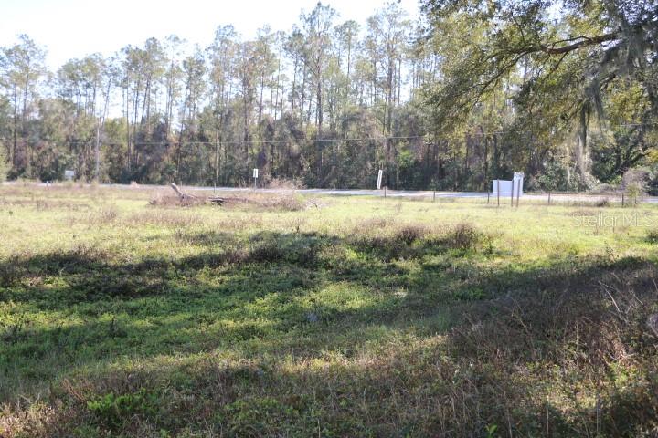 CR 48, BUSHNELL, FL — photo 12