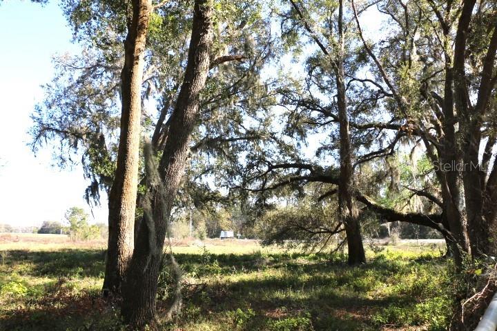 CR 48, BUSHNELL, FL — photo 16