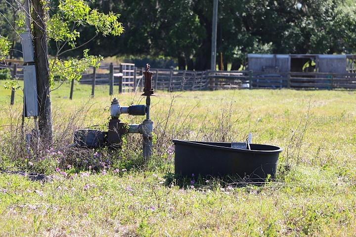 CR 48, BUSHNELL, FL — photo 39