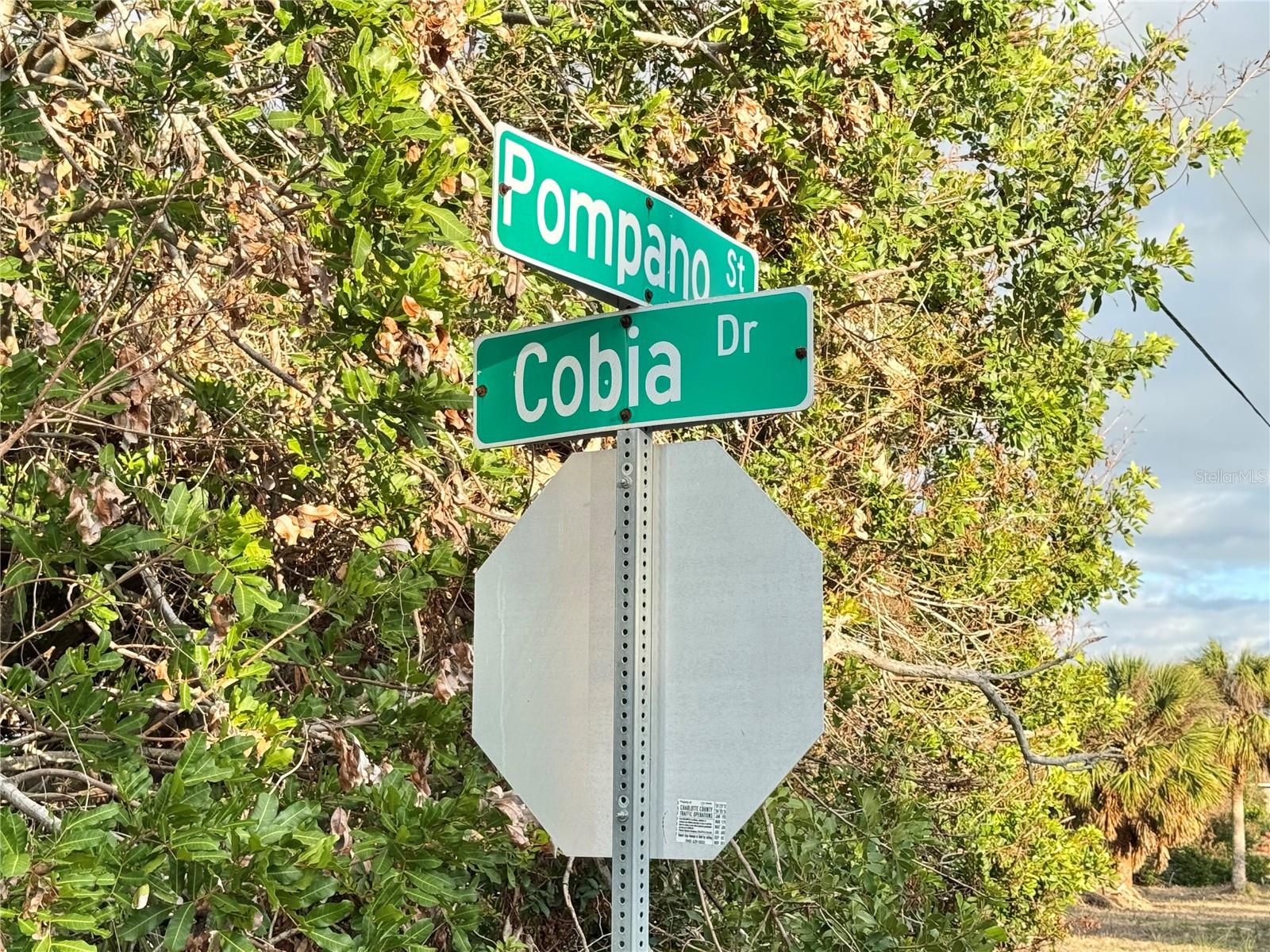 50 COBIA DR, PLACIDA, FL — photo 7