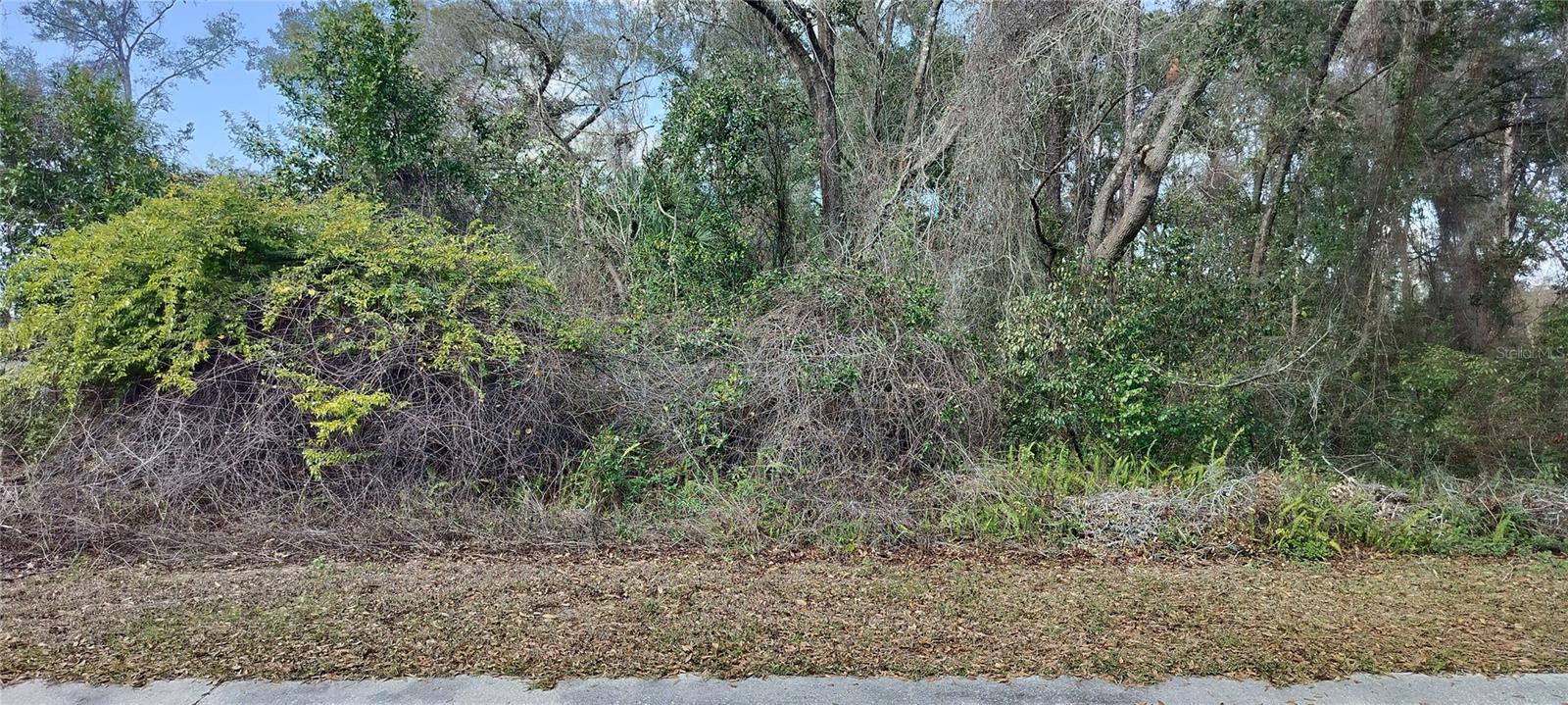 204 ADELPHI ST, INVERNESS, FL