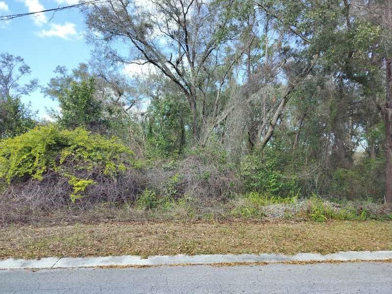 204 ADELPHI ST, INVERNESS, FL — photo 3