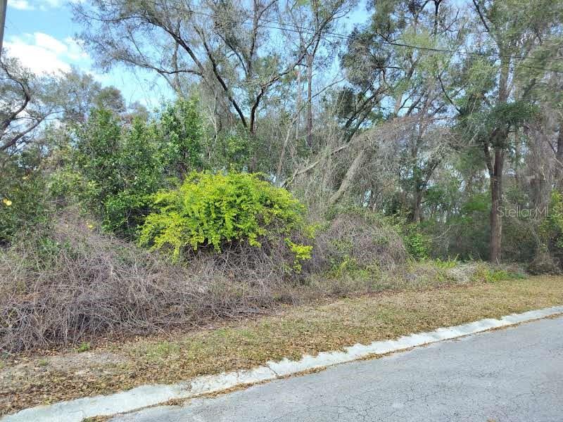 204 ADELPHI ST, INVERNESS, FL — photo 7