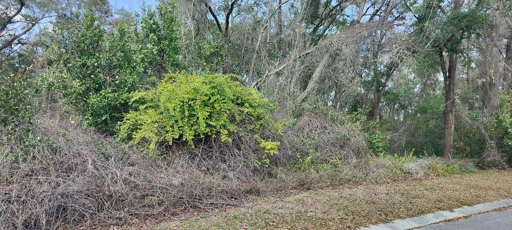 204 ADELPHI ST, INVERNESS, FL — photo 9